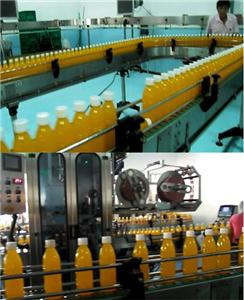 Southeast Asia customers juice complete production line machine